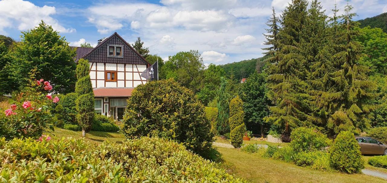 Ferienwohnung Altenbrak Haus Wilde Thale Bagian luar foto