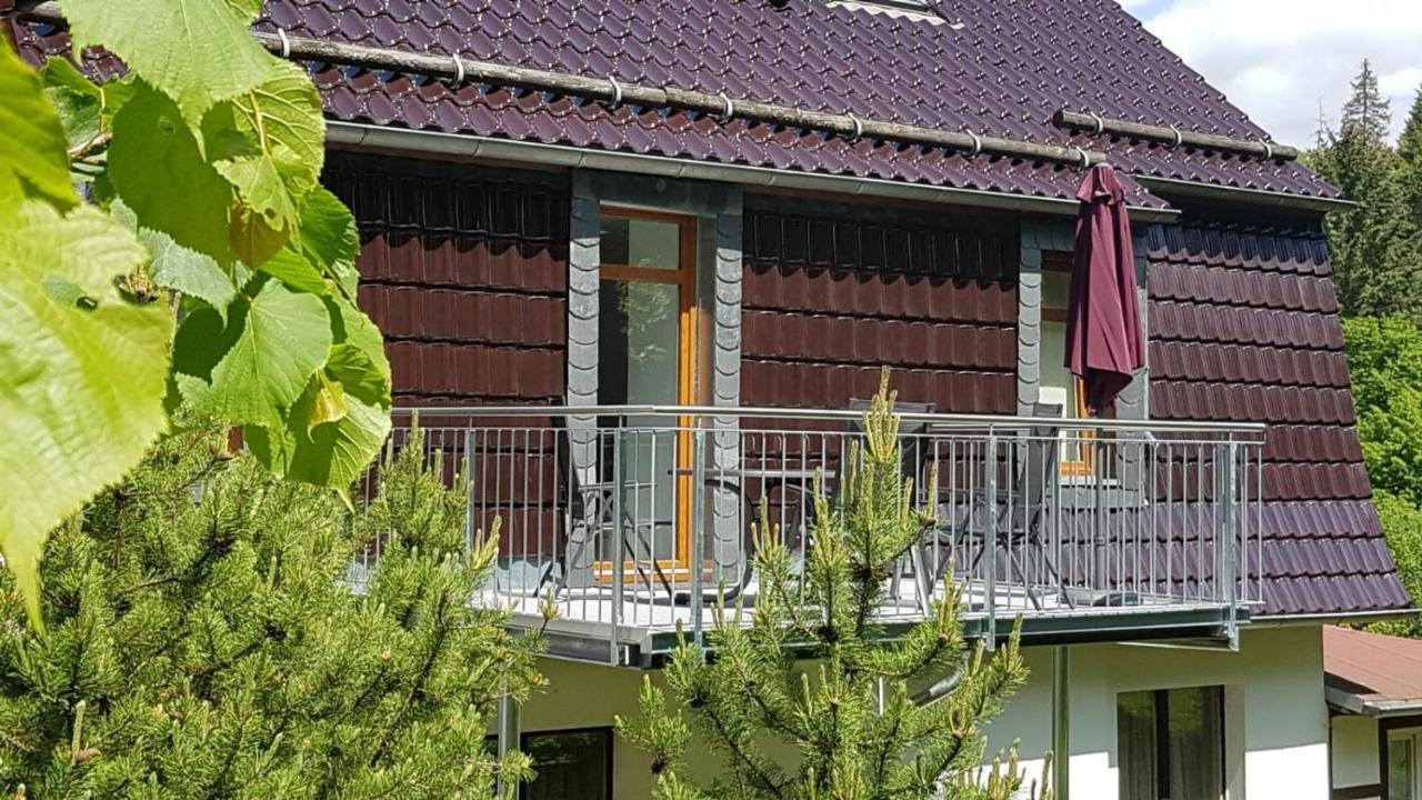 Ferienwohnung Altenbrak Haus Wilde Thale Bagian luar foto